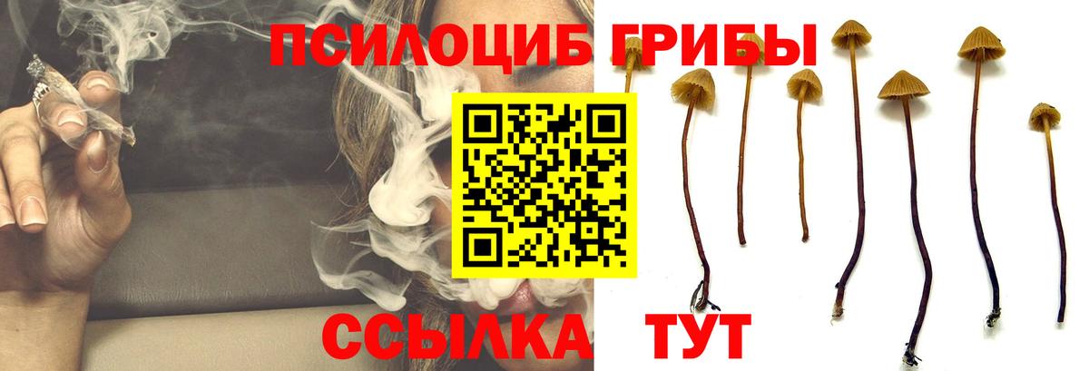 Псилоцибиновые грибы MAGIC MUSHROOMS  Вход с VPN  Псилоцибиновые грибы ЛСД  цена   Ишим 